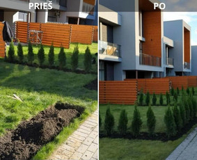 Alpinariumų, gėlynų įrengimas - Įrenk savo svajonių sodą su Medelynu Flora - 1