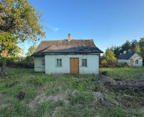 Viso tipo griovimo darbai / Griovimo darbai / Darbų pavyzdys ID 4082933