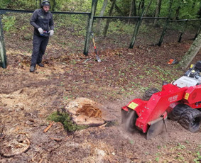 Kelmų frezavimas, naikinimas, šalinimas / Audrius / Darbų pavyzdys ID 4082989