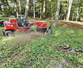 Kelmų frezavimas, naikinimas, šalinimas / Audrius / Darbų pavyzdys ID 4082991