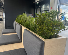 Interjero, eksterjero dekoras augalais / GAJA DECOR (UAB Gėlių Aveniu) / Darbų pavyzdys ID 4085707