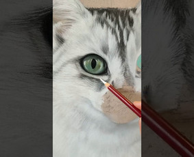 Portretai iš nuotraukų: pastelė, grafitas, šaržai / Pastelės ir Portretai / Darbų pavyzdys ID 4087785