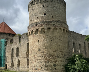 Gidė nuo Ukmergės . Autorinės, individualios ekskursijos / Svetlana Markevičienė / Darbų pavyzdys ID 4088111