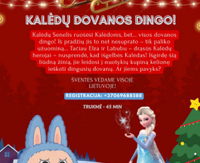 Vaikų švenčių vedimas - Pramogos vaikams - 2 Pramogos vaikams - Vaikų švenčių vedimas - 2