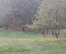 Montuojam segmentines ir metaliniu tvoralenčių tvoras / Arvydas / Darbų pavyzdys ID 4089011