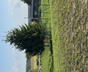 Trinkelių klojimas, gerbuvio darbai / Trinkeliu klojimas / Darbų pavyzdys ID 4089495