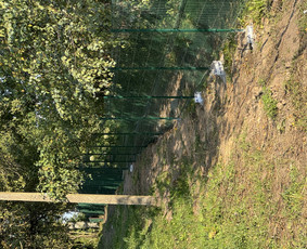 Trinkelių klojimas, gerbuvio darbai / Trinkeliu klojimas / Darbų pavyzdys ID 4089497