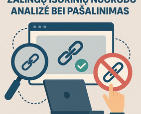 Kokybiškos Seo paslaugos - vidinis, išorinis, techninis Seo / Mindaugas Steponėnas / Darbų pavyzdys ID 4089687