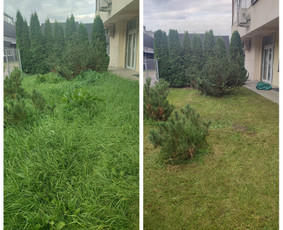 Žolės pjovimas - Žolės pjovimas,skarifikavimas,aplinkos tvarkymas - 3