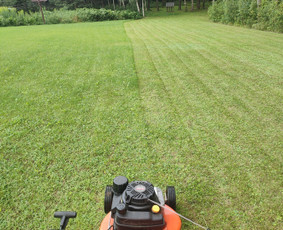 Žolės pjovimas - Žolės pjovimas,skarifikavimas,aplinkos tvarkymas - 1