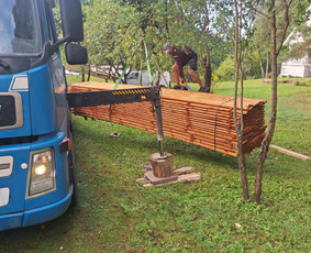Fiskaro paslaugos,dideli kroviniai, Manipuliatoriaus / Mb Danreisas / Darbų pavyzdys ID 4089981