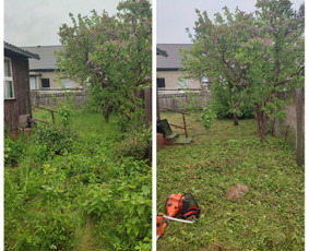 Vejos priežiūra, įrengimas - Žolės pjovimas,skarifikavimas,aplinkos tvarkymas - 3