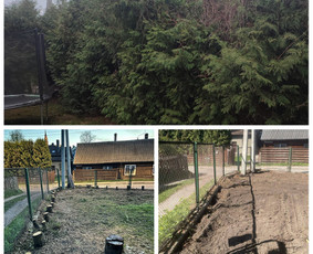 Vejos priežiūra, įrengimas - Žolės pjovimas,skarifikavimas,aplinkos tvarkymas - 2