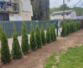 Vejos priežiūra, įrengimas - Žolės pjovimas,skarifikavimas,aplinkos tvarkymas - 1