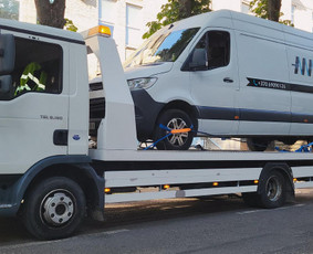 Tralo Paslaugos - Krovinių pervežimas - 1 Krovinių pervežimas - Tralo Paslaugos - 1