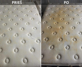 Profesionalus valymas Šiauliuose ir aplink 50 km - Čiužinių valymas - 1 Čiužinių valymas - Profesionalus valymas Šiauliuose ir aplink 50 km - 1