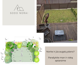 Apželdinimo projektai, augalų planai- privačiam sklypui / SODO NORAI / Darbų pavyzdys ID 4092685