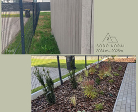Apželdinimo projektai, augalų planai- privačiam sklypui / SODO NORAI / Darbų pavyzdys ID 4092691