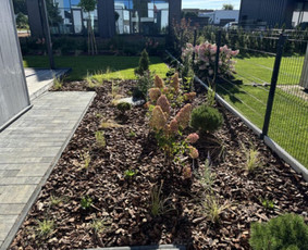 Apželdinimo konsultacija - Kra&scaron;tovaizdžio projektas/ apželdinimo konsultacija - 4