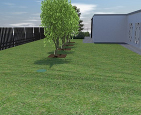 Apželdinimo projektai, augalų planai- privačiam sklypui / SODO NORAI / Darbų pavyzdys ID 4092761