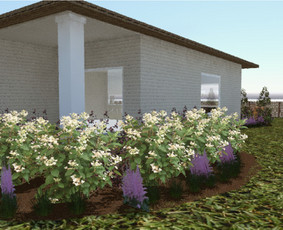 Apželdinimo projektai, augalų planai- privačiam sklypui / SODO NORAI / Darbų pavyzdys ID 4092851
