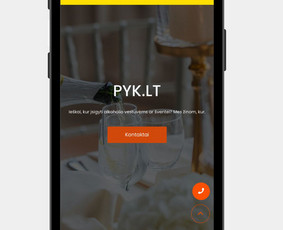 Internetas, IT - Internetinių Svetainių Kūrimas - 4