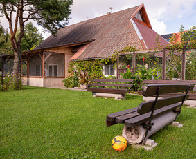 Dokumentinė-meninė fotografija, dronas, video - Nekilnojamojo turto fotografavimas - 2 Nekilnojamojo turto fotografavimas - Dokumentinė-meninė fotografija, dronas, video - 2
