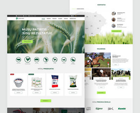 Grafikos dizainas / Maketavimas / Web dizainas - Svetainių dizainas (web design) - 4 Svetainių dizainas (web design) - Grafikos dizainas / Maketavimas / Web dizainas - 4