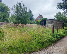 Žolės pjovimas, gyvatvorių genėjimas / Edgaras / Darbų pavyzdys ID 4095359