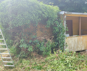 Apleistų sklypų tvarkymas - Žolės pjovimas, gyvatvorių genėjimas - 2