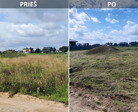 Statybos, apdaila - Žolės pjovimas, gyvatvorių genėjimas - 3