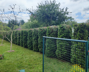 Statybos, apdaila - Žolės pjovimas, gyvatvorių genėjimas - 1