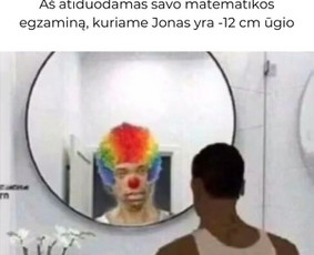 Individualios matematikos pamokos tik nuo 21 €! - Ruošimas matematikos egzaminams - 2 Ruošimas matematikos egzaminams - Individualios matematikos pamokos tik nuo 21 €! - 2