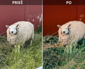 Filmavimas ir fotografavimas – nuo idėjos iki rezultato - Nuotraukų redagavimas - 1 Nuotraukų redagavimas - Filmavimas ir fotografavimas – nuo idėjos iki rezultato - 1