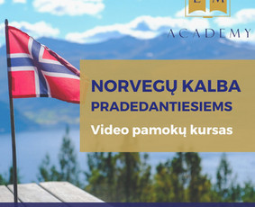 Soc. tinklų kūrimas, turinys, administravimas ir reklama / E J / Darbų pavyzdys ID 4096577