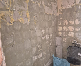 Griovimo darbai šiukšliu išvežimas / Audrius / Darbų pavyzdys ID 4097045