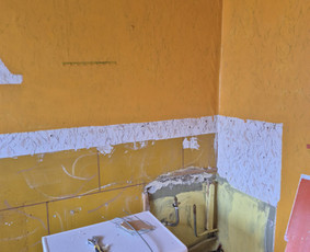 Griovimo darbai šiukšliu išvežimas / Audrius / Darbų pavyzdys ID 4097035
