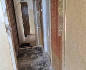 Griovimo darbai šiukšliu išvežimas / Audrius / Darbų pavyzdys ID 4097033
