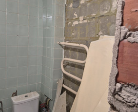Griovimo darbai šiukšliu išvežimas / Audrius / Darbų pavyzdys ID 4097029