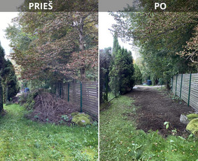 Šakų išvežimas - Sklypų tvarkymas: medžių ir krūmų pjovimas su išvežimu. - 2