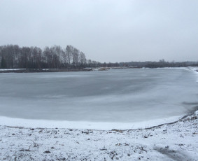 Tvenkinių kasimas. Ekskavatoriaus nuoma su operatoriumi. - Žemės kasimas, lyginimas - 3 Žemės kasimas, lyginimas - Tvenkinių kasimas. Ekskavatoriaus nuoma su operatoriumi. - 3