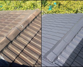 Valymo paslaugos - Stogų dažymas, fasadų dažymas - 1