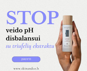 Meta / Google ads, soc. tinklų administravimas, videografija - Google Ads reklama - 2 Google Ads reklama - Meta / Google ads, soc. tinklų administravimas, videografija - 2