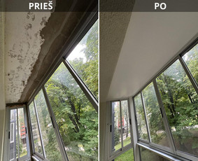 Visi vidaus ir lauko darbai / Konstantinas / Darbų pavyzdys ID 4100375