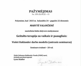 Psichologo konsultacijos gyvai ir nuotoliu - Sveikata, gydymas - 3 Sveikata, gydymas - Psichologo konsultacijos gyvai ir nuotoliu - 3