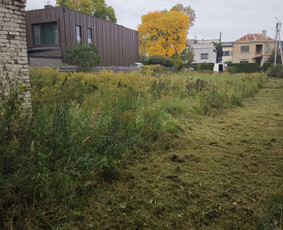 Griovimo darbai ir Šiukšlių išvežimas / Švarus Griovimas / Darbų pavyzdys ID 4101279