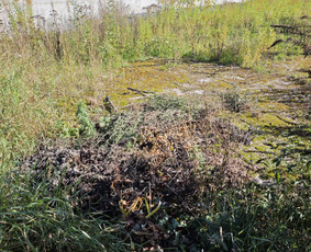 Griovimo darbai ir Šiukšlių išvežimas / Švarus Griovimas / Darbų pavyzdys ID 4101285