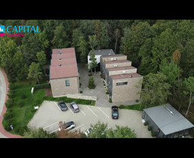 Nekilnojamo turto brokerė Alina - Kitos kategorijos - 1 Kitos kategorijos - Nekilnojamo turto brokerė Alina - 1