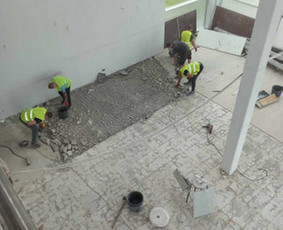 Griovimo Išvežimo darbai visoje Lietuvoje / A. E. K. REMONTA / Darbų pavyzdys ID 4103069