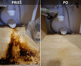 Visos valymo paslaugos. Dirbame visoje Lietuvoje ! / MB "HD Clean" / Darbų pavyzdys ID 4103144